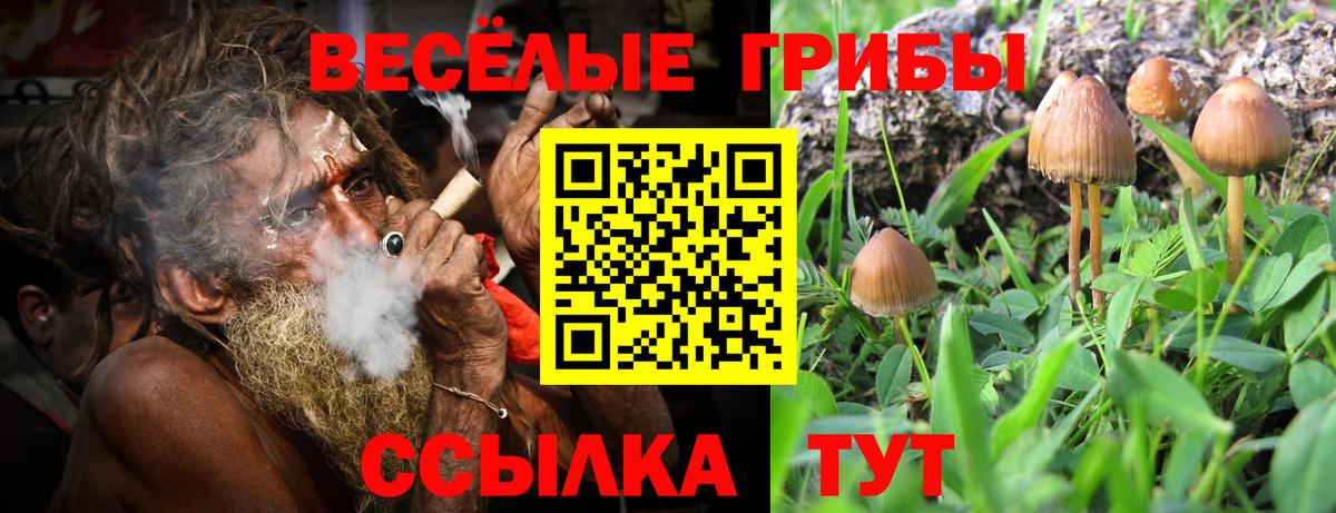 Галлюциногенные грибы мицелий Соль-Илецк