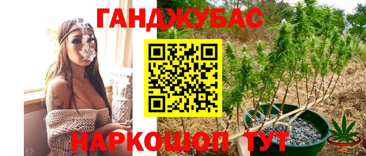 Шишки марихуана индика  Бошки Шишки планчик  Соль-Илецк  Вход с VPN  Марихуана гибрид 